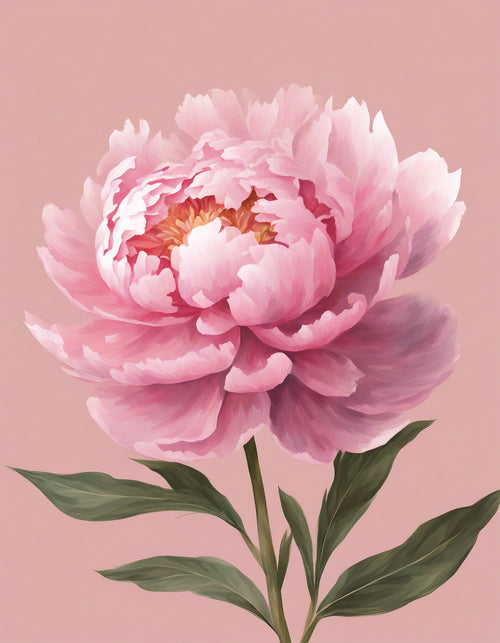 The Pink Peonie